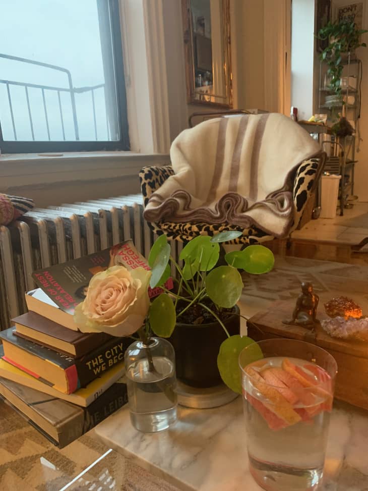 325-square-foot-brooklyn-apartment-photos-apartment-therapy